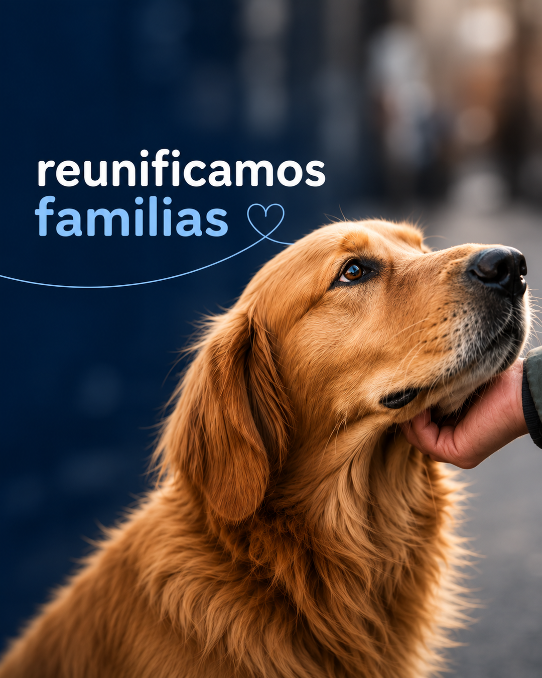 Mascota rescatada
