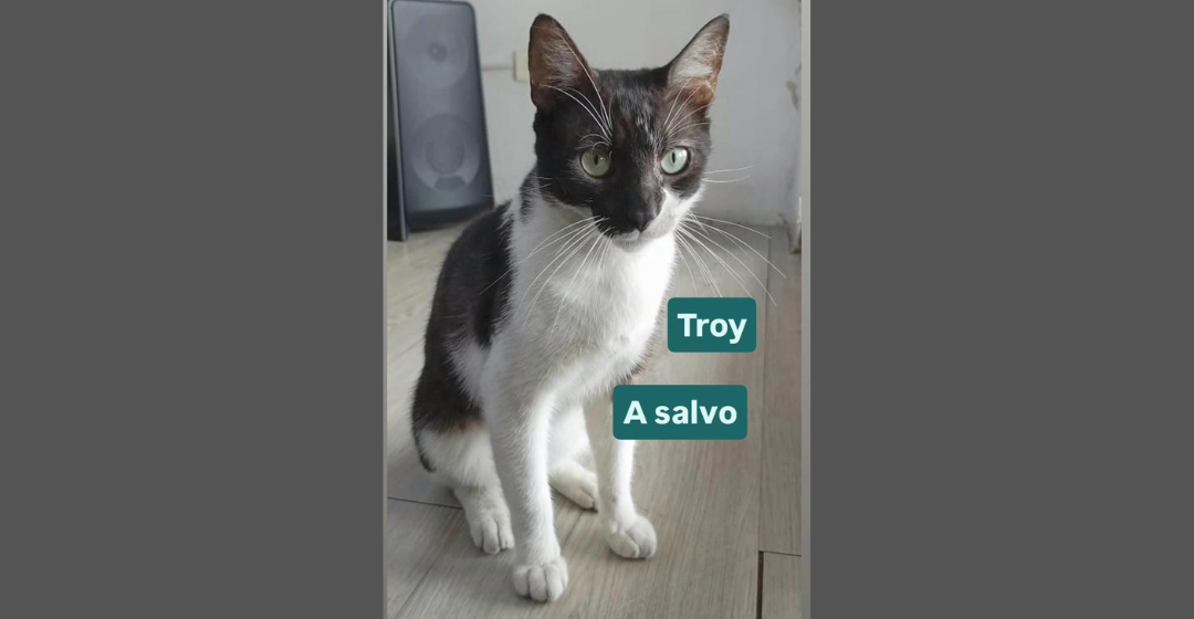 Troy